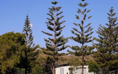 Spring in Broadbeach: what September changes on the beachfront